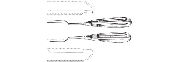 Joseph Nasal Saw