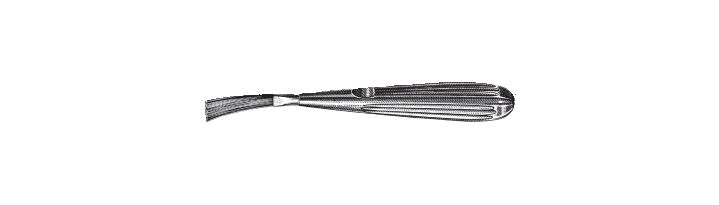 Wire Brush