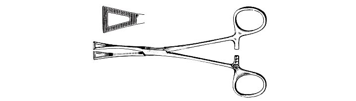 Pennington Forceps