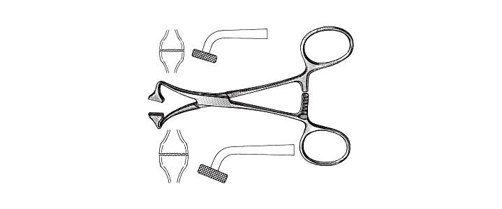 Non-Perforating Towel Forceps