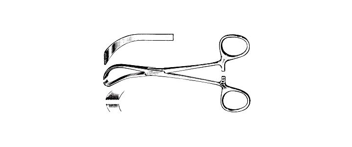 Edna Towel Forceps