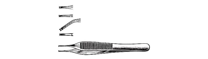 Adson Tissue Forceps, 1 x 2 teeth