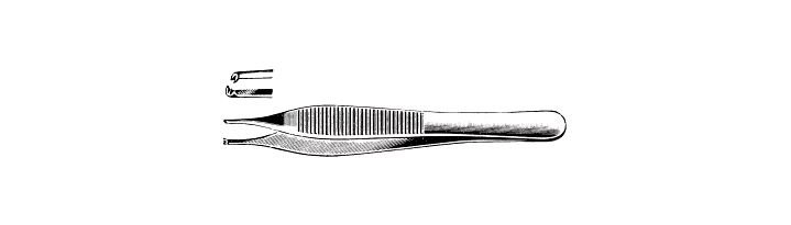 Adson Tissue Forceps