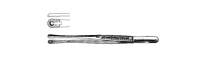 Mayo-Russian Tissue Forceps