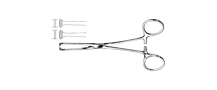 Allis Tissue Forceps