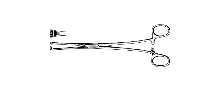 Thoms-Allis Tissue Forceps
