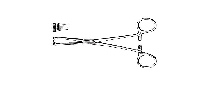Boys-Allis Tissue Forceps