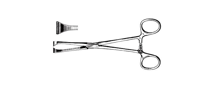 Allis-Adair Tissue Forceps