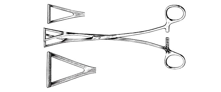 Collins Tissue Forceps