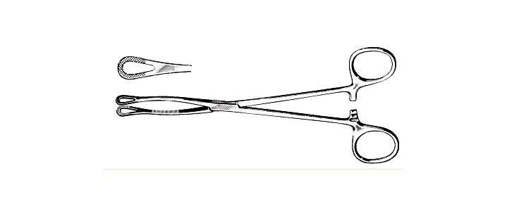 Williams Tissue Forceps