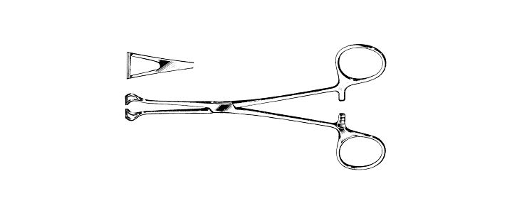 Babcock Tissue Forceps
