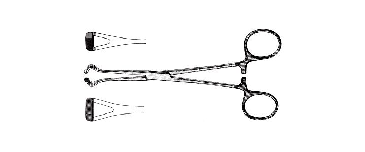 Babcock Tissue Forceps, Tungsten Carbide