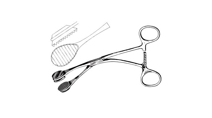 Young Tongue Seizing Forceps