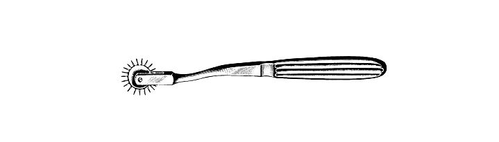 Wartenberg Pin Wheel