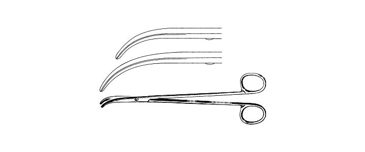 Thorek Gall Bladder Scissors