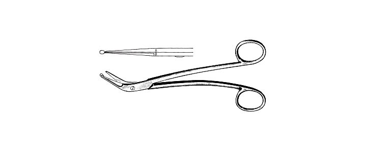 Taylor Dura Scissors