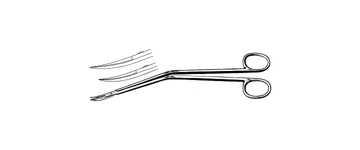 Dandy Trigeminal Scissors