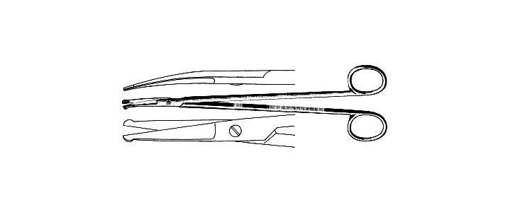 Strully Scissors
