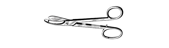 Bruns Plaster Shears