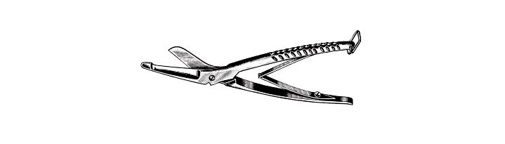 Plaster and Utility Shears