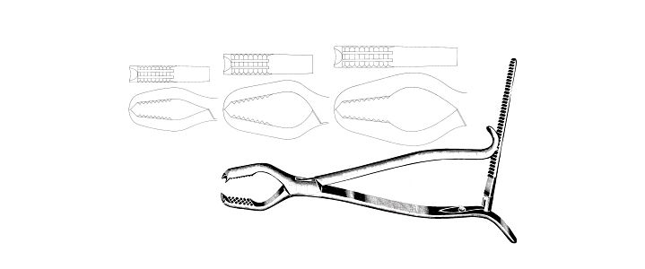 Lane Bone Holding Clamp