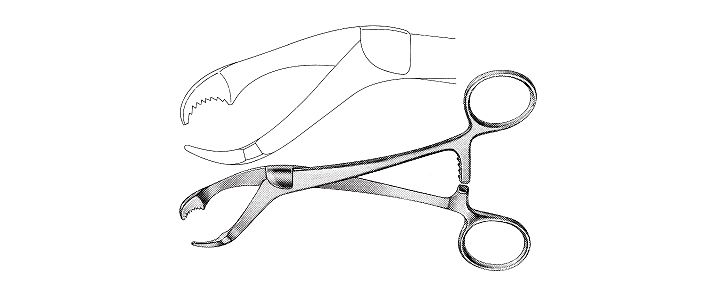 Verbrugge Bone Holding Clamp