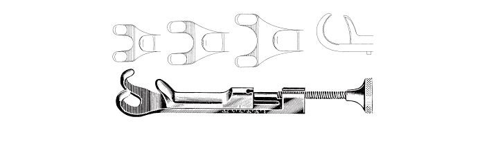 Lowman Bone Holding Clamp