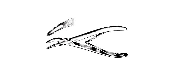 Cicherelli Rongeur