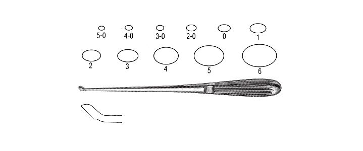 Spinal Fusion Curette