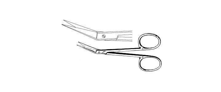 Iris Scissors, Angled on the Side