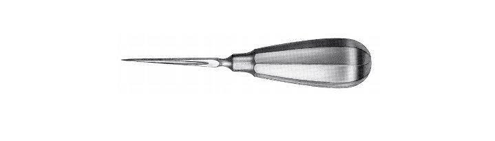 Bone Awl